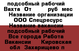 подсобный рабочий . Вахта. От 30 000 руб./мес. › Название организации ­ ООО Спецресурс › Название вакансии ­ подсобный рабочий - Все города Работа » Вакансии   . Кировская обл.,Захарищево п.